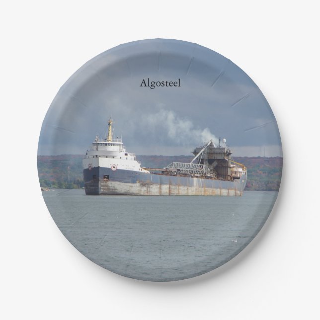 Plato De Papel Placa de papel Algosteel (Anverso)