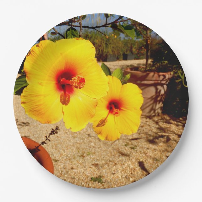 Plato De Papel Placa de papel amarillo hibiscus (Anverso)