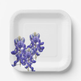 Plato De Papel Placa de papel Bluebonnet de Texas