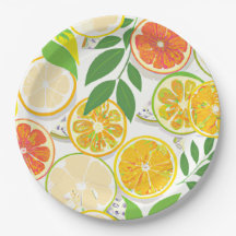 Placa de papel - Boho Citrus Slices