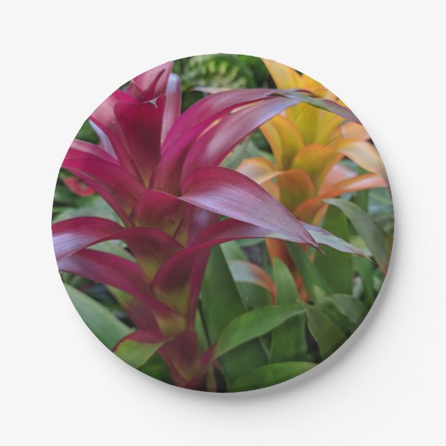 Plato De Papel Placa de papel Bromeliad (Anverso)