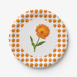 Plato De Papel Placa de papel - Calendula