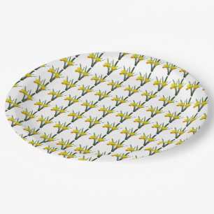 Plato De Papel Placa de papel - Campo de Daffodils