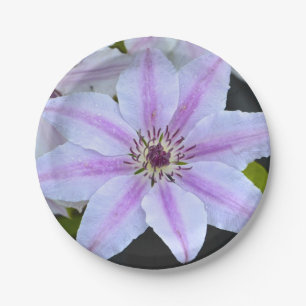 Plato De Papel Placa de papel Clematis