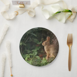 Plato De Papel Placa de papel conejo - para el amante del conejo 