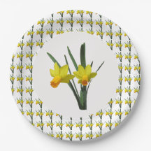 Placa de papel - Daffodils