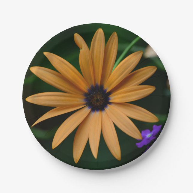 Plato De Papel Placa de papel Daisy (Anverso)