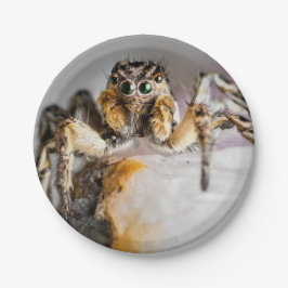 Plato De Papel Placa de papel de araña de Halloween