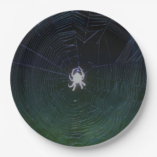 Plato De Papel Placa de papel de araña de tejedor de orb