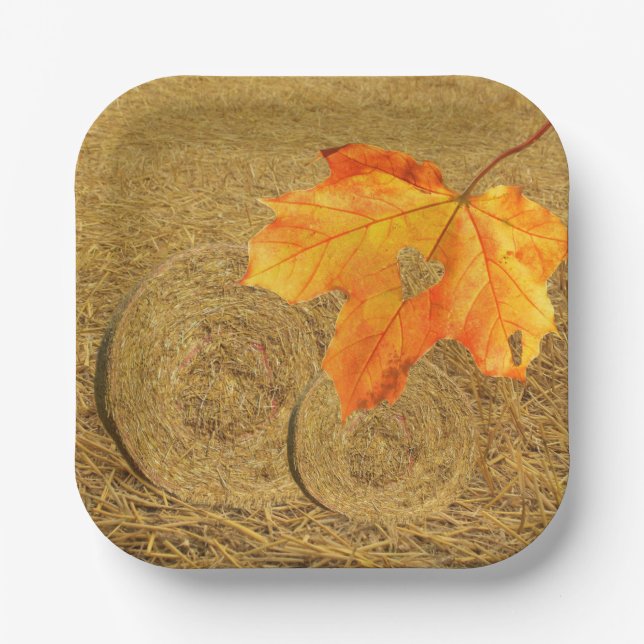 Plato De Papel Placa de papel de cosecha de amor (Anverso)