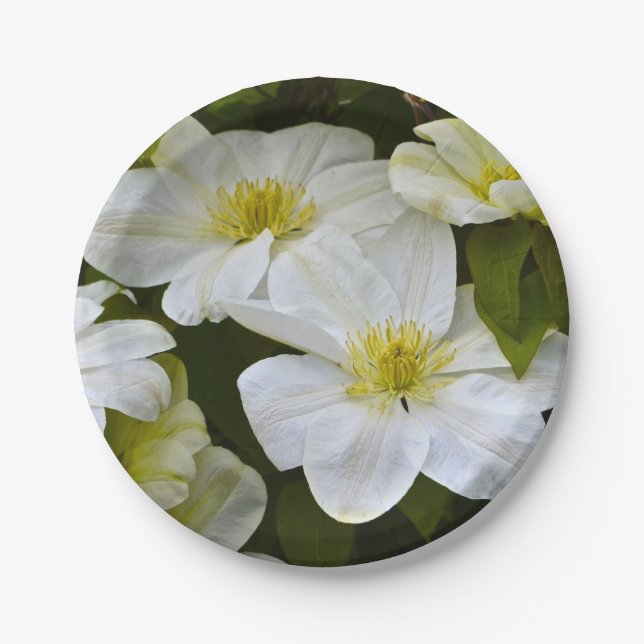 Plato De Papel Placa de papel de deslumbramiento blanco (Anverso)