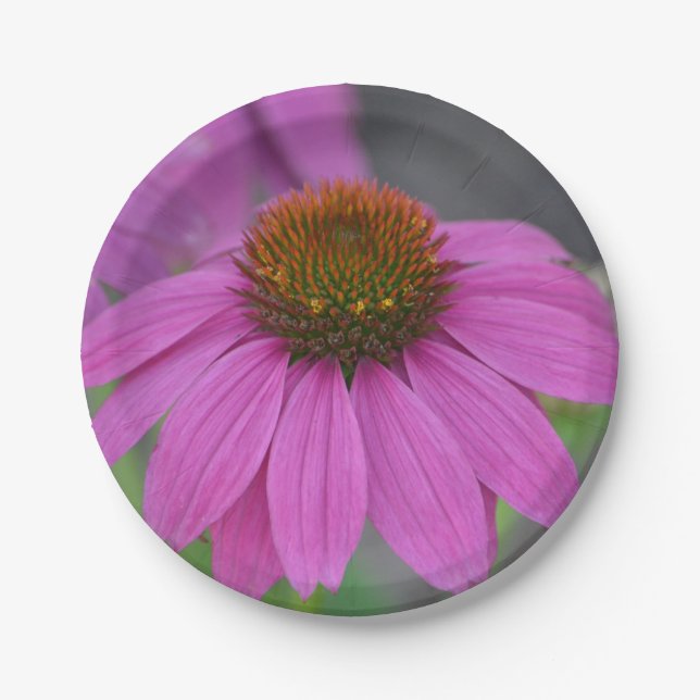 Plato De Papel Placa de papel de flor de cono rosa (Anverso)