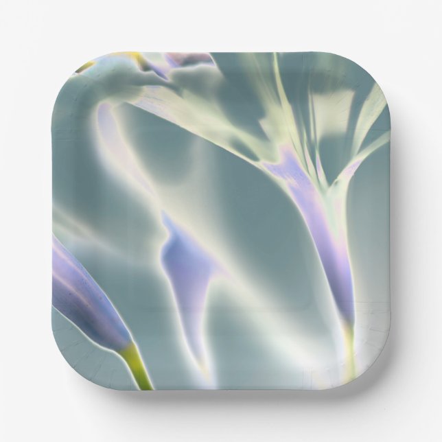 Plato De Papel Placa de papel de flor espumosa (Anverso)