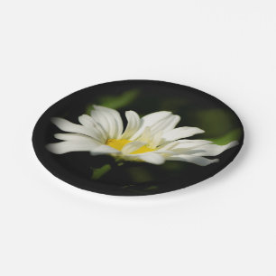 Plato De Papel Placa de papel de flor silvestre Oxeye Daisy
