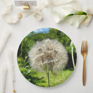 Plato De Papel Placa de papel de flor silvestre para barba de cab