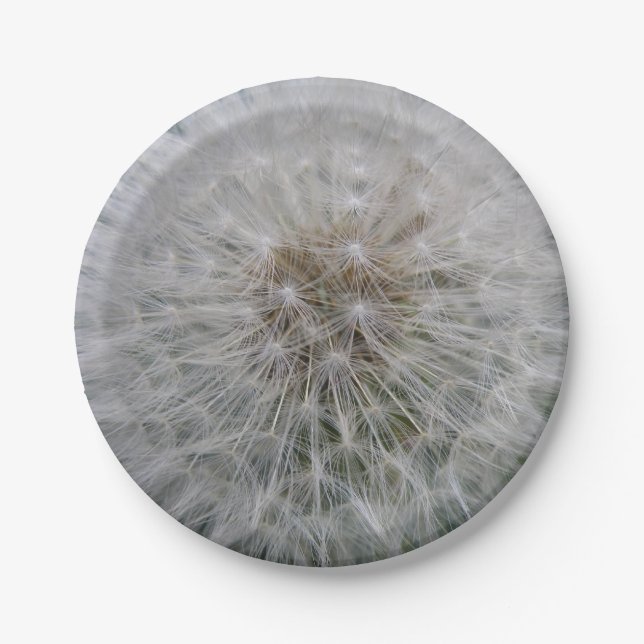 Plato De Papel Placa de papel de flores de Dandelion de semillas (Anverso)
