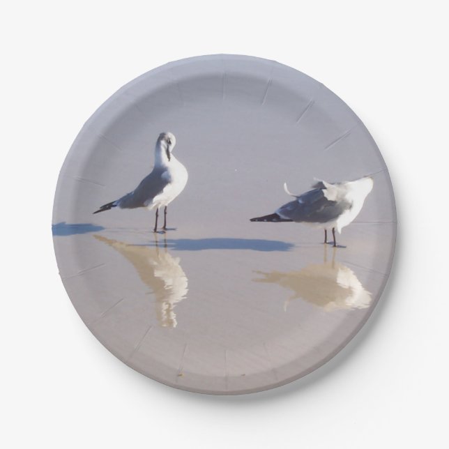 Plato De Papel Placa de papel de gaviota eólica (Anverso)