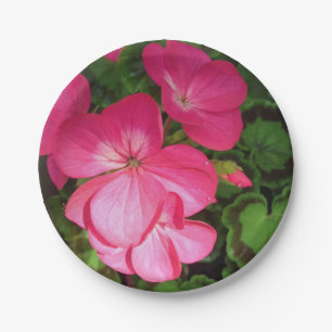 Plato De Papel Placa de papel de geranio rosa