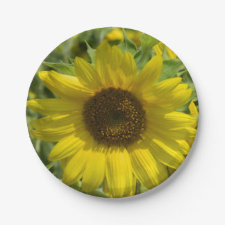 Plato De Papel Placa de papel de girasol grande