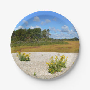 Plato De Papel Placa de papel de Hammonasset Beach