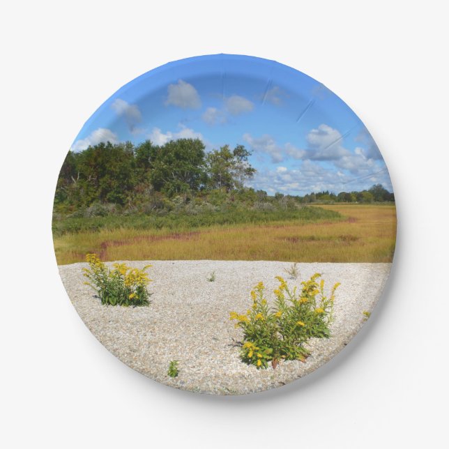 Plato De Papel Placa de papel de Hammonasset Beach (Anverso)