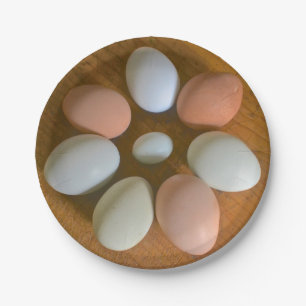 Plato De Papel Placa de papel de huevo de pollo