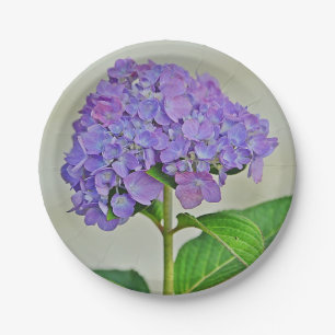 Plato De Papel Placa de papel de Hydrangea