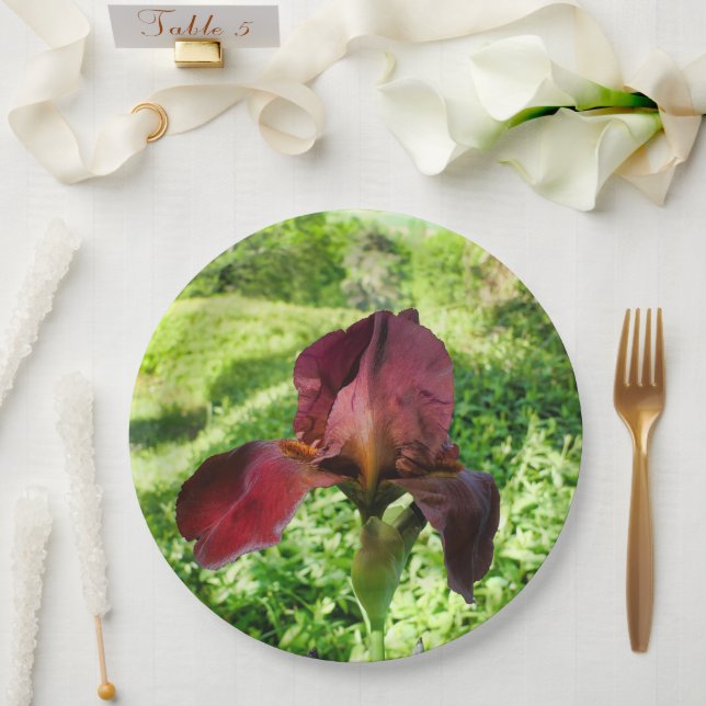Plato De Papel Placa De Papel De Iris Con Barrido (Boda)