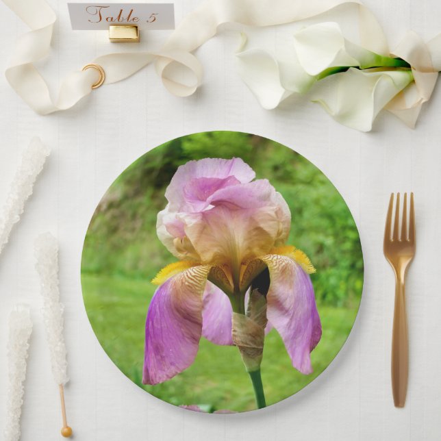 Plato De Papel Placa De Papel De Iris Con Barrido (Boda)