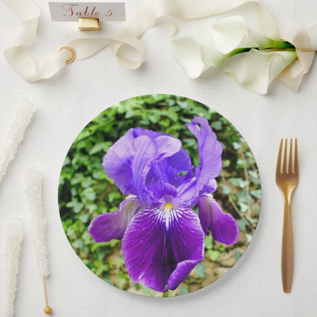 Plato De Papel Placa De Papel De Iris Con Barrido (Boda)