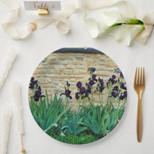 Plato De Papel Placa De Papel De Iris Con Barrido