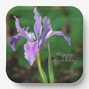 Plato De Papel Placa de papel de iris morado