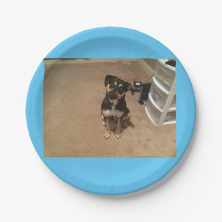 Plato De Papel Placa de papel de Josie