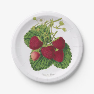Plato De Papel Placa de papel de la comida campestre antigua de