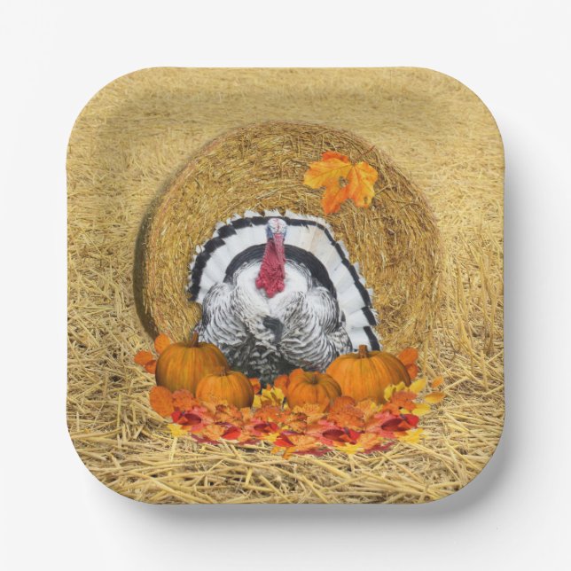 Plato De Papel Placa de papel de la cosecha de Acción de Gracias (Anverso)