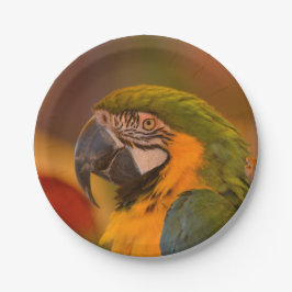 Plato De Papel Placa de papel de loro
