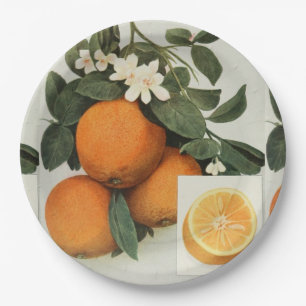 Plato De Papel Placa de papel de los NARANJAS