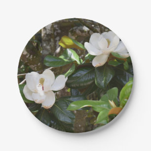 Plato De Papel Placa de papel de magnolia blanca