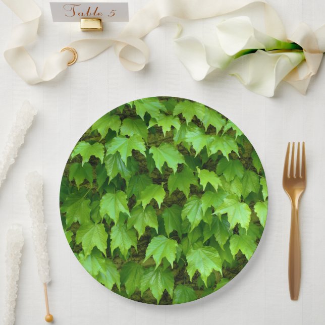 Plato De Papel Placa de papel de marfil de Boston (Boda)