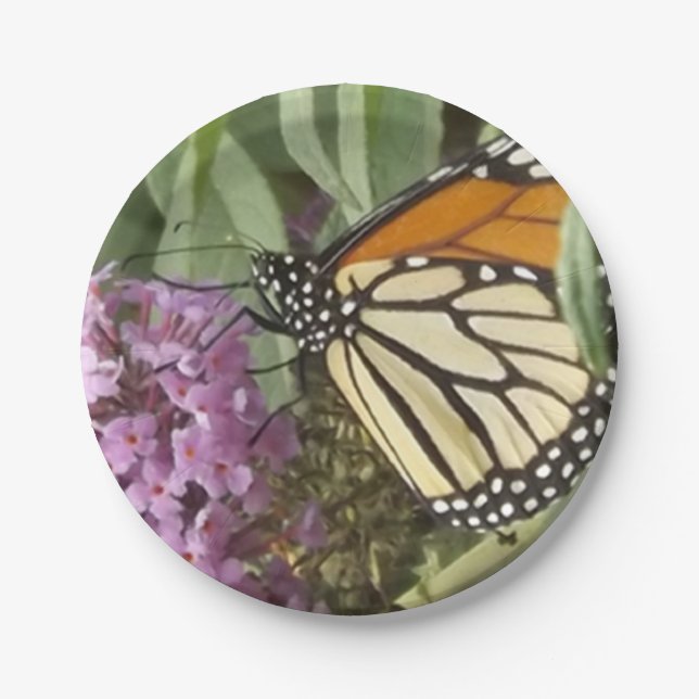 Plato De Papel Placa de papel de mariposa (Anverso)