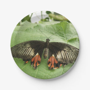 Plato De Papel Placa de papel de mariposa dorada y roja de bonito