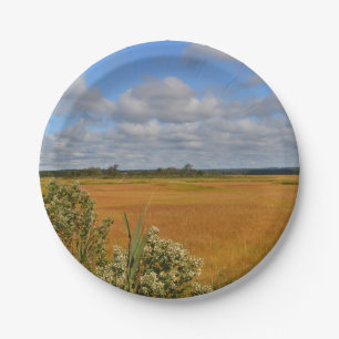 Plato De Papel Placa de papel de marsh de Hammonasset