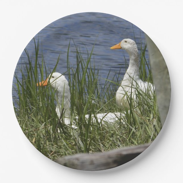 Plato De Papel Placa de papel de pato (Anverso)