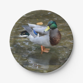 Plato De Papel Placa de papel de pato mallard (macho)