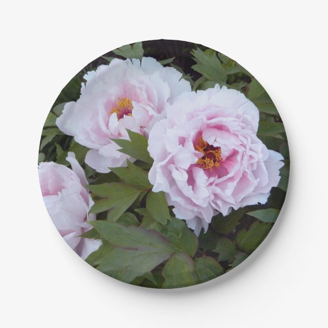 Plato De Papel Placa de papel de peonies de bonito (Anverso)