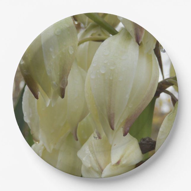 Plato De Papel Placa de papel de planta Yucca (Anverso)