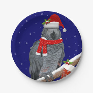 Plato De Papel Placa de papel de plumas festivas