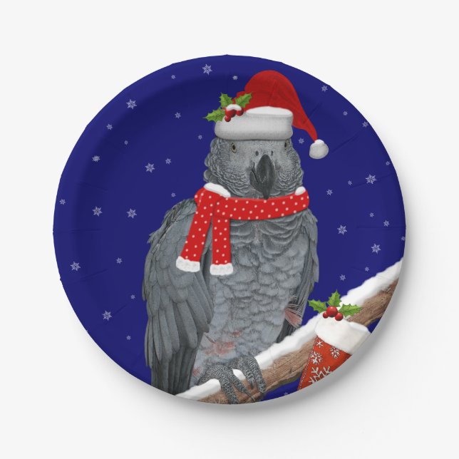 Plato De Papel Placa de papel de plumas festivas (Anverso)