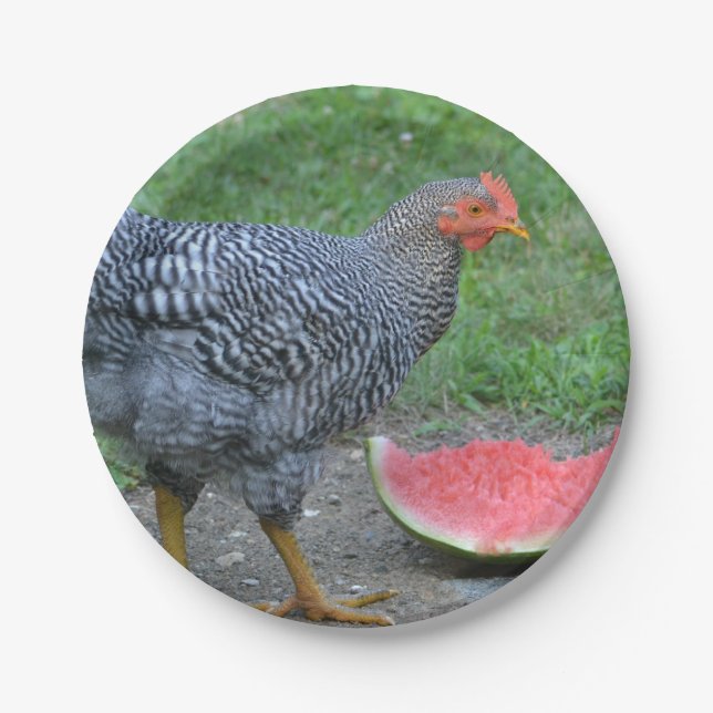 Plato De Papel Placa de papel de pollo y sandía (Anverso)