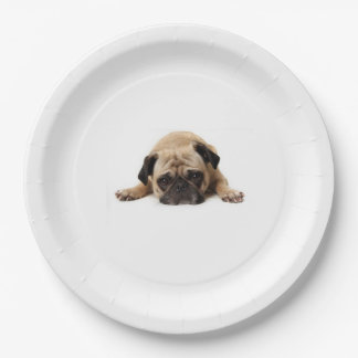 PLATO DE PAPEL PLACA DE PAPEL DE PUG